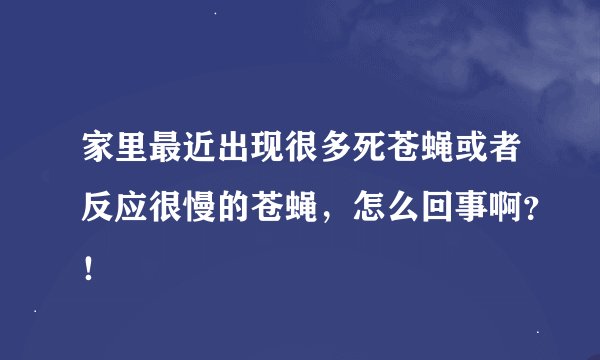 家里最近出现很多死苍蝇或者反应很慢的苍蝇，怎么回事啊？！