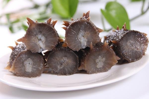 哪里海参最好？