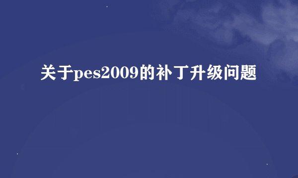 关于pes2009的补丁升级问题