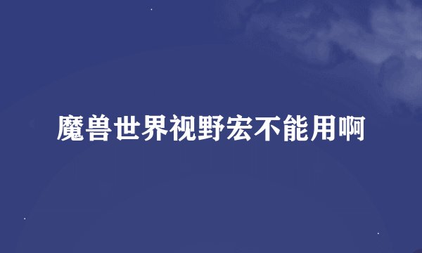 魔兽世界视野宏不能用啊