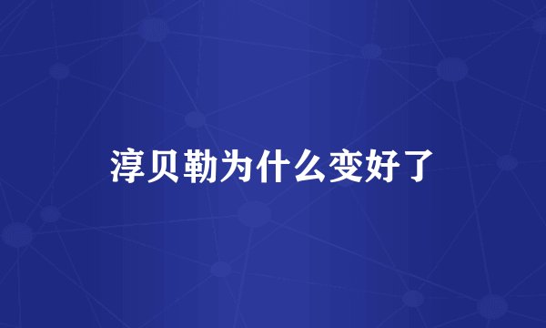 淳贝勒为什么变好了