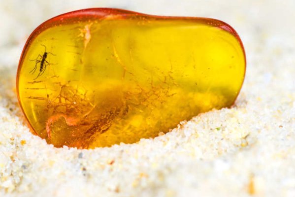 大自然中有许多稀奇古怪的事物你见过哪些快把他的模样写下来吧？