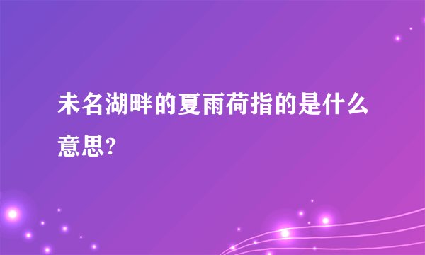 未名湖畔的夏雨荷指的是什么意思?